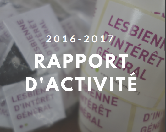 Rapport d’activité 2016-2017