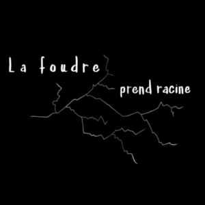La foudre prend racine