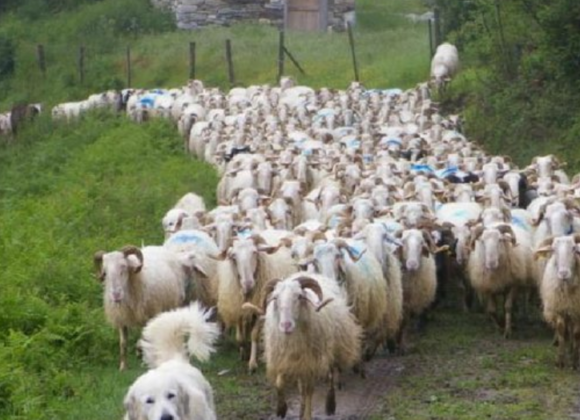 Galacta, film lesbien en milieu rural