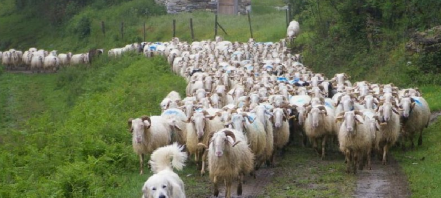 Galacta, film lesbien en milieu rural