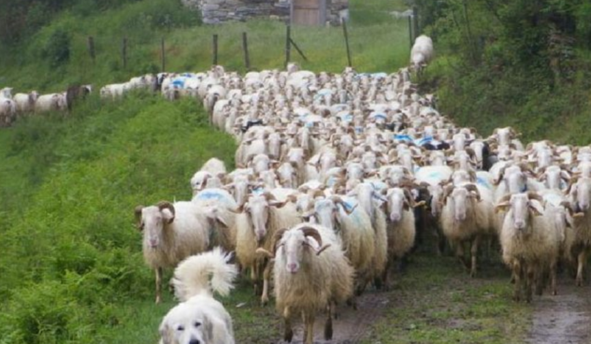 Galacta, film lesbien en milieu rural